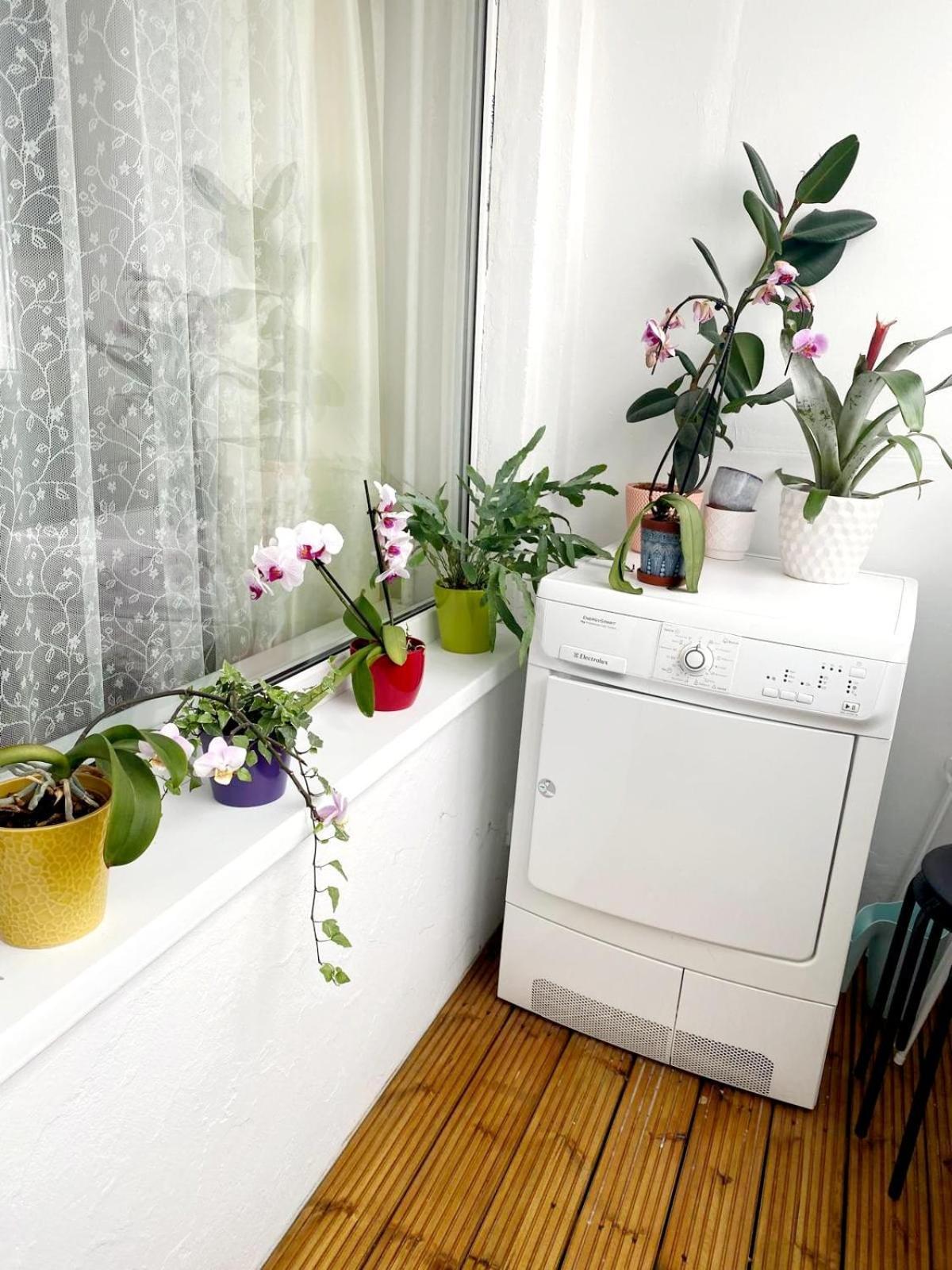 Apartament Seaview Flat Lipawa Zewnętrze zdjęcie
